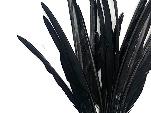 10 peças - Ponteiros de ganso pretos longas primárias de asas de asas para Halloween, casamento e outros