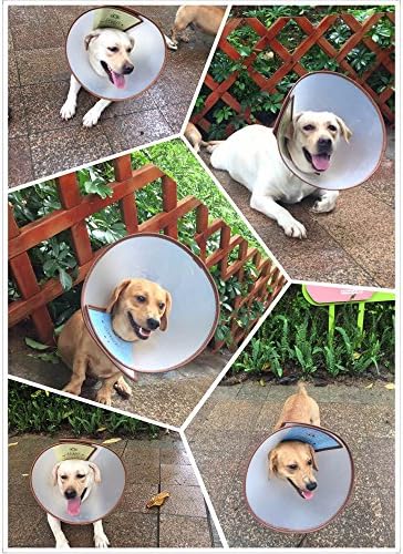 GMASO Pet Recuperação de colarinho eletrônico para cães e gatos de estimação, colar de recuperação