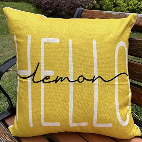 Capas de travesseiro de limão de verão Boomsea 18x18 polegadas 4 Pacote de aquarela gnomo hello sol