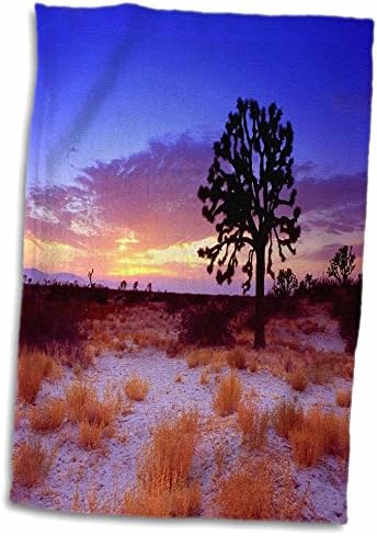 3drose mohave deserto com joshua árvore silhuetada - toalhas