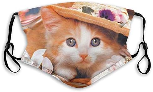 Gatinho em um chapéu fofo gato animal filtro máscara de poeira diversão máscara de pó máscara de poeira