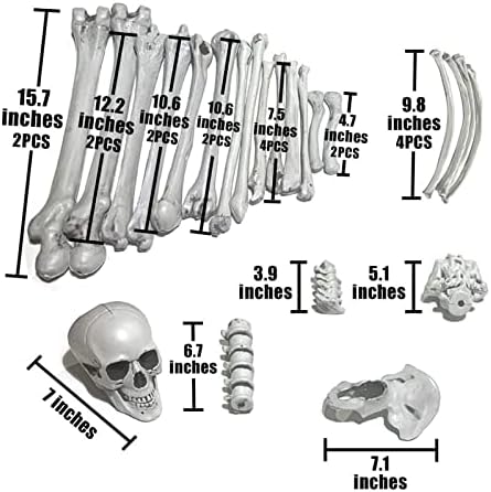 Topup 28 peças Decorações de esqueleto de Halloween esqueleto de Halloween de corpo inteiro com articulações móveis