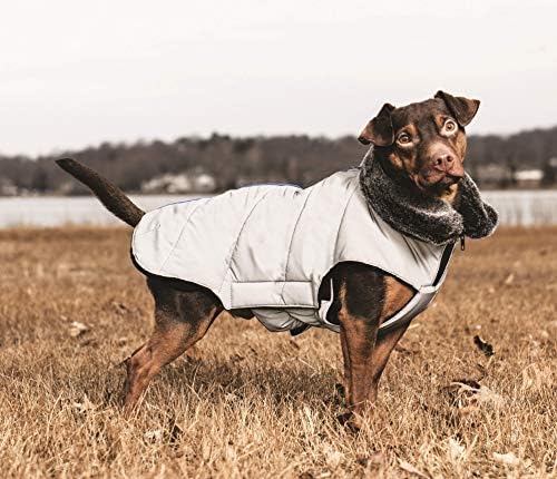 Dog Gone Smart Reflexive Meteor Tamarack Dog Jacket, cinza com zíper Indigo, 16