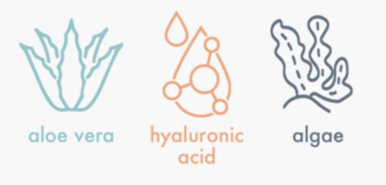 Loumi Skincare Skincare Hidratando Hidratante Aloe Creme, Aloe Vera, Algae e Ácido Hialurônico, Amolecer