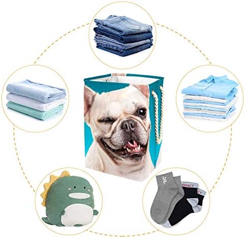Cão engraçado de cão semicey cestas de lavanderia de lavanderia dobrável para organizador de casa