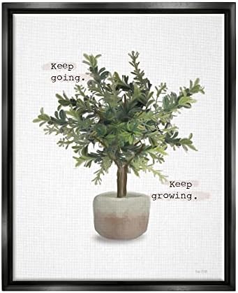 Stuell Industries Continua e crescendo vasos de plantas emolduradas Arte de parede de lona de floater,
