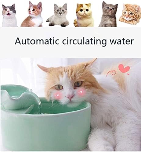 Dispensador de água para animais de estimação Dispensador de água para animais de estimação Circulation