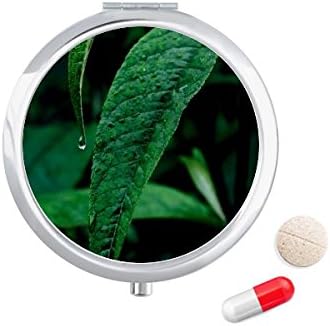 Planta de folhas Nature Photograph Pill Caso Pocket Medicine Storage Rechaner Dispenser