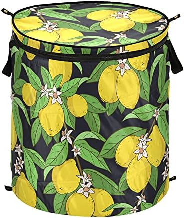 Folhas de limão Flores Propa de roupa cesto de lavander