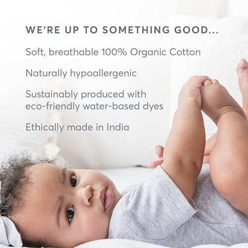 Organics coloridos Baby Cotton Organic Cotton Infant Lightweight Pullover Top