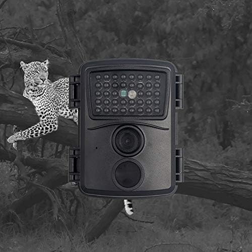 Câmera Chaw Trail 12MP 1080p HD Camera, infravermelha à prova de caça ao escotismo da vida selvagem infravermelha