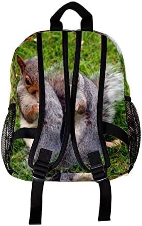 Mochila de laptop VBFOFBV, mochila elegante de mochila casual mochila para homens Mulheres, esquilo animal