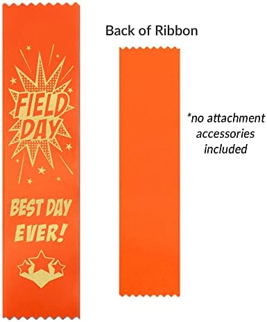 Ribbonsnow School Field Day Fibbons - Melhor dia de todos os tempos! - 400 fitas totais: 100 cada uma