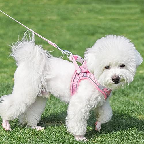 Giligege malha macia cães e coleira definida para andar de verão de pavo no colete bandas refletidas ajustáveis