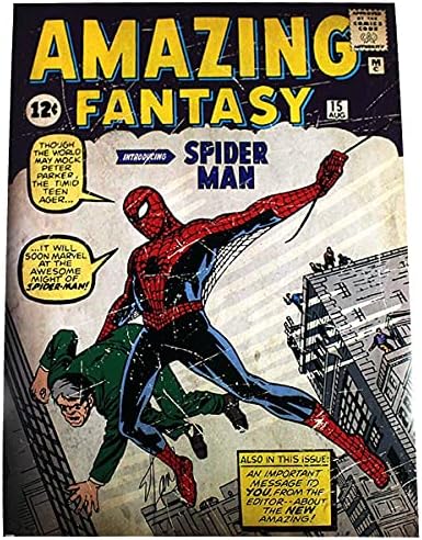 Stan Lee assinou a Marvel Comics Retro: Amazing Spider Man 24x36 Poster - Steiner Sports Certified