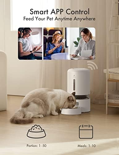 Alimentador de gatos automáticos de petlibro, alimentador de animais de estimação de wifi 5g com controle