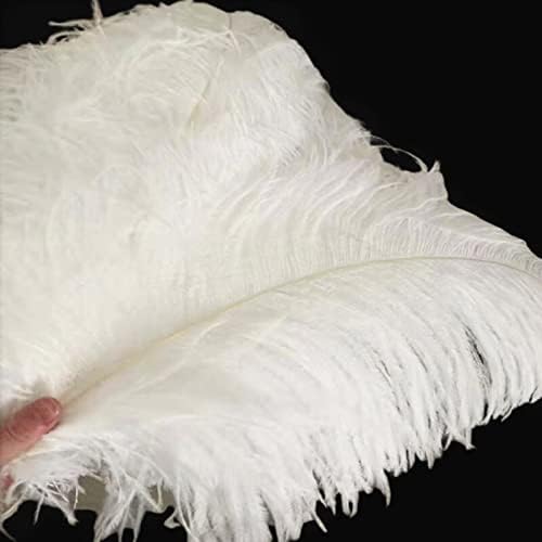 100pcs/lote 15-70cm Avestruzes brancas naturais Crafts Home Home Diy Feathers Avestruz Plume Roupes Party Wedding