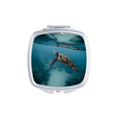 Ocean Sea Turtle Science Nature Picture Mirror Portátil Compact Pocket Maquia
