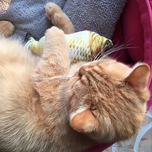 Formato de peixe brinquedos de gato para gatos maquia