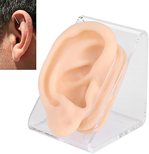 Modelo de orelha de silicone macio, modelo de prática de acupuntura por orelha de simulação para exibição