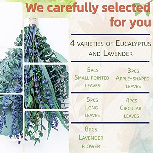 Pacote de flores de eucalipto e lavanda para chuveiro | Eucalipto fresco natural natural folhas de eucalipto
