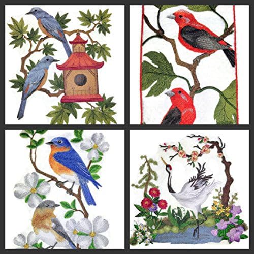 A natureza tecida em fios, Amazing Birds Kingdom [CAGA de pássaros com pássaro azul] [personalizado