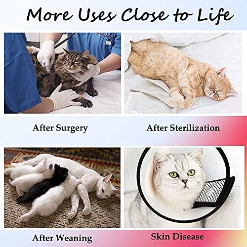 Terno de recuperação de cirurgia de gato para feridas abdominais ou doenças de pele, traje de