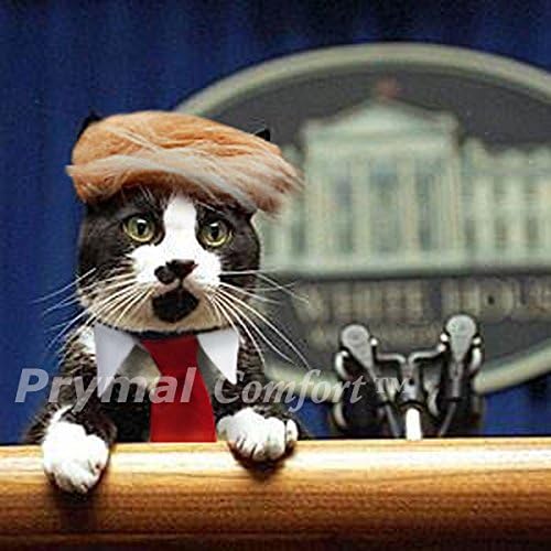 Traje de gato/cão Trump para Halloween, festas e fotos