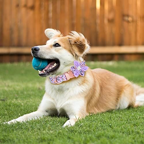 TDTOK Girl Dog Collar para cães grandes pequenos, colarinho de cachorro fofo com fivela de metal de segurança