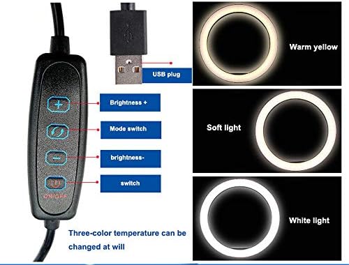 Kit de luz do anel ZJDU: 26cm 2200-12000K Luz de anel LED diminuído, com clipe e suporte de telefone celular, para