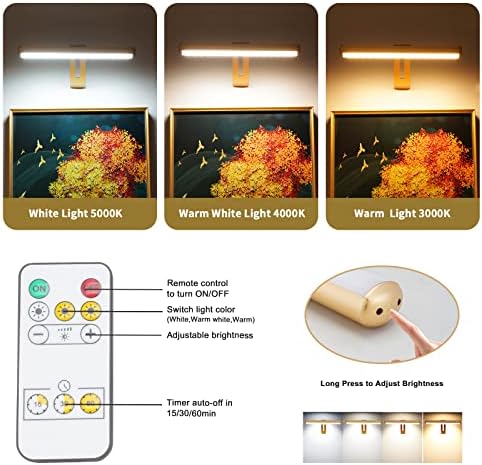 Luz de imagem LED de ovicisk, luz de imagem para pinturas, luz de dardo recarregável com 2 luz remota, 300 lm,