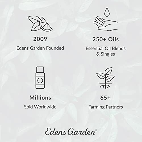 Alergias de combate de jardim Edens mistura de óleo essencial, misturas de aromaterapia terapêutica pura