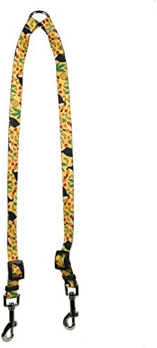 Projeto de cão amarelo Fruity Tucan Coupler Dog Leash 1 de largura e 12 a 20 de comprimento, grande