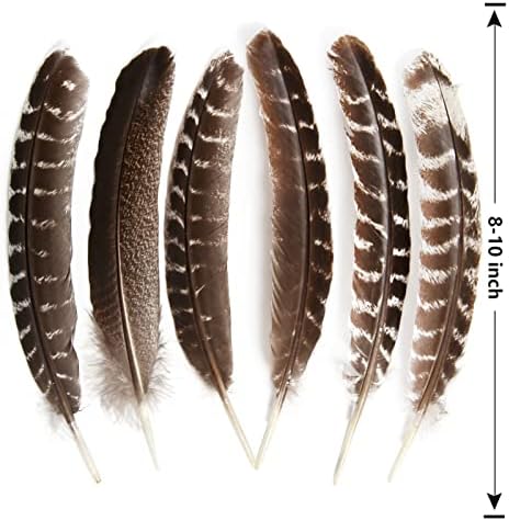 THARAHT 24pcs Natural Wild Wild Wing Wing Feathers Quill Bulk 6-8 polegadas 15-20cm para DIY Crafts