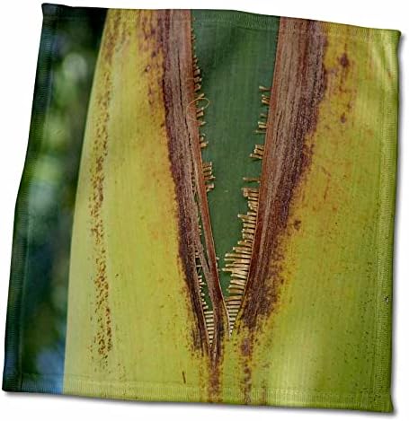 3drose Florene Macro Nature - Palm inundado - toalhas