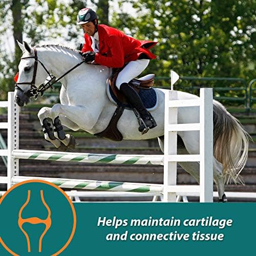 Farnam Suplemento da articulação de cavalos do próximo nível para cavalos e cães, ajuda a manter o tecido conjuntivo