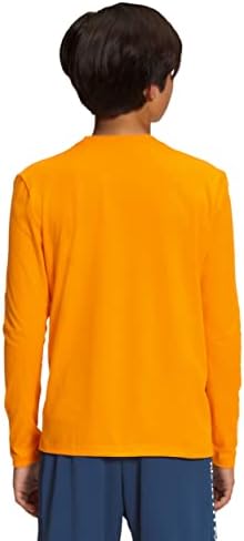A camiseta gráfica de manga longa dos garotos de North Face, Cone Orange, X-Small