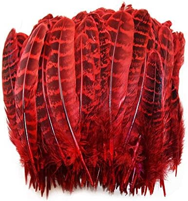 Zamihalla Natural Feant Feather for Roushoth 4-6 /10-15cm Feathers tingidas para artesanato Acessórios