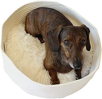 Gato de corda redonda ou cama de cão pequeno com inserção de travesseiro