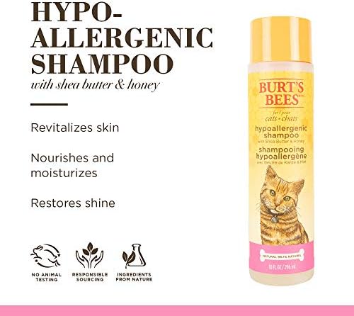 Burt's Bees for Cats hipoalergênico shampoo de gato com manteiga de karité e mel | Melhor shampoo para gatos