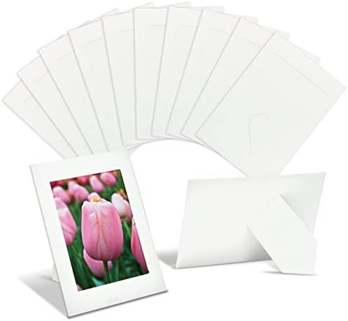Melhores produtos para escritórios de papel quadros de papel para inserções de 4 x 6 polegadas, 50 pacotes,