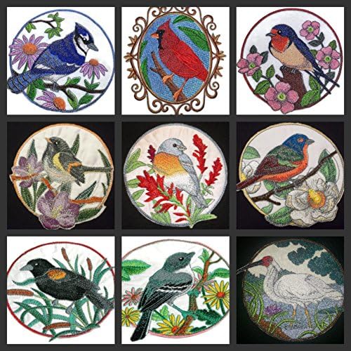 BeyondVision Nature texou em fios, Amazing Birds Kingdom [Mockingbird e Aster Circle [Círculo personalizado