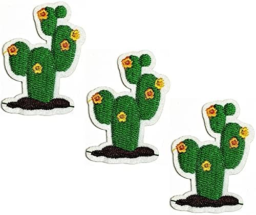 Hho Patch Conjunto de 3 peças. Pretty cactus patch cactus deserto planta de flor sudoeste desenho animado crianças