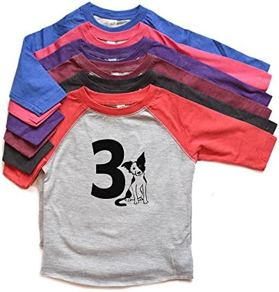 Camisa de cachorro de 2º aniversário, menino ou filho