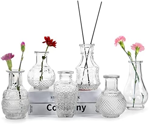 Conjunto de 6 vasos de broto de Eathtek para peças centrais, vaso pequeno de vidro para flores, mini vaso vintage