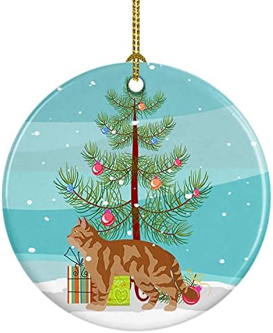 Tesouros de Caroline CK4557CO1 American Wirehair 2 Cat Feliz Natal Cerâmica Ornamento, decorações
