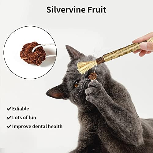 WHXGQ CAT Toys - Silvervine Natural Siltves Sticks para gatos, palitos de mastigação Silvervine, brinquedos