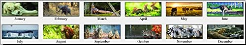 House of Doolittle 2022 Monthly Wall Calendar, Earthscapes Wildlife, 15,5 x 22 polegadas, janeiro a dezembro,