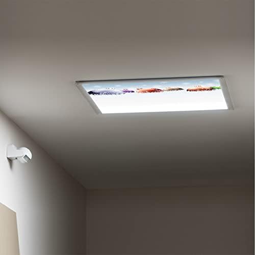 Tampas de luz fluorescentes para painéis de difusor de luz do teto Cristmas-fluorescentes tampas de