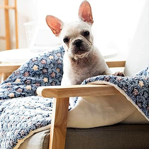 FJWYSANGE PET Blanket Premium Fluffy Flannel Cushion Mobo e quente tape